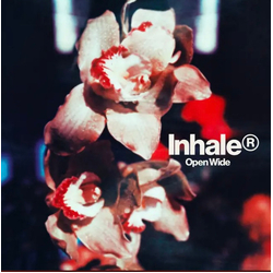 Inhaler (12) Open Wide Vinyl LP USED