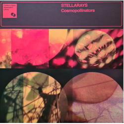 Stellarays Cosmopollinators Vinyl LP USED