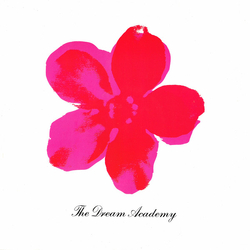 The Dream Academy The Love Parade Vinyl 12" USED