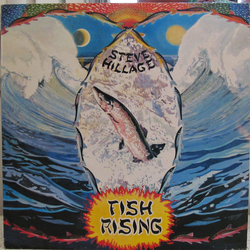 Steve Hillage Fish Rising Vinyl LP USED