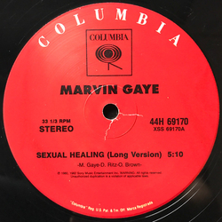 Marvin Gaye / Rodney Franklin Sexual Healing / The Groove Vinyl 12" USED