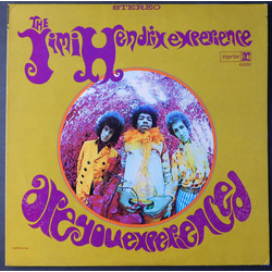 The Jimi Hendrix Experience Are You Experienced? Vinyl LP USED