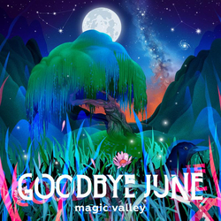 Goodbye June Magic Valley Vinyl LP USED