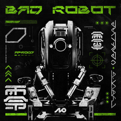 Rise Black Bad Robot Vinyl 12" USED