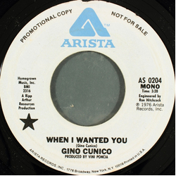 Gino Cunico When I Wanted You Vinyl 7" USED