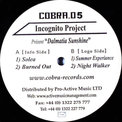 Incognito Project Dalmatia Sunshine EP Vinyl 12" USED