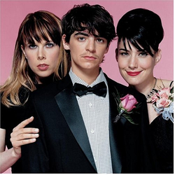 Le Tigre This Island Vinyl LP USED