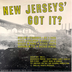 Various New Jerseys' Got It? Vinyl LP USED