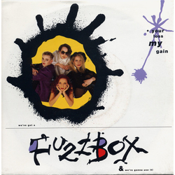 We've Got A Fuzzbox And We're Gonna Use It Your Loss My Gain Vinyl 7" USED