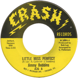 Jimmy Dobbins Little Miss Perfect Vinyl 7" USED
