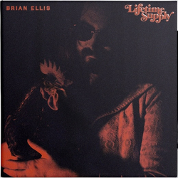 Brian Ellis Lifetime Supply Vinyl LP USED