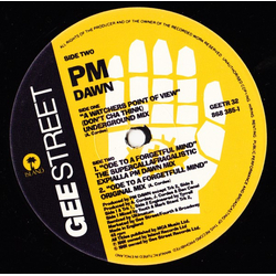 P.M. Dawn A Watcher's Point Of View Vinyl 12" USED