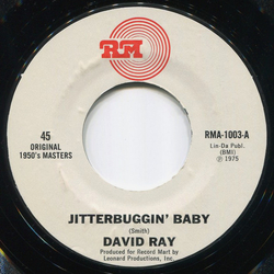 David Ray Jitterbuggin' Baby Vinyl 7" USED