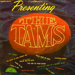 The Tams Presenting Vinyl LP USED