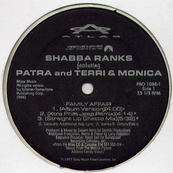 Shabba Ranks / Patra / Terri & Monica Family Affair Vinyl 12" USED