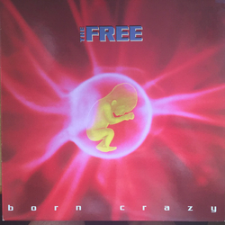 The Free Born Crazy Vinyl 12" USED