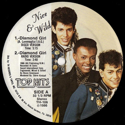 Nice & Wild Diamond Girl Vinyl 12" USED