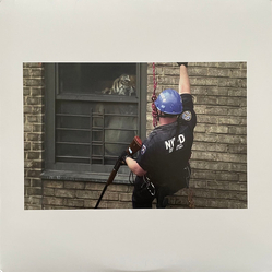 Armand Hammer Shrines Vinyl LP USED