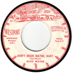 Alvis Wayne Don't Mean Maybe, Baby Vinyl 7" USED