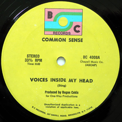 Common Sense Voices Inside My Head Vinyl 12" USED