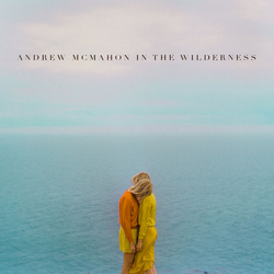 Andrew McMahon In The Wilderness Andrew McMahon In The Wilderness Vinyl LP USED
