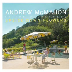 Andrew McMahon In The Wilderness Upside Down Flowers Vinyl LP USED