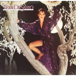 Teri DeSario Moonlight Madness Vinyl LP USED