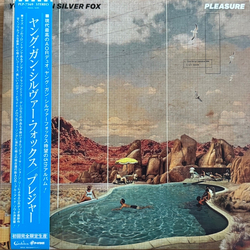 Young Gun Silver Fox Pleasure Vinyl LP USED