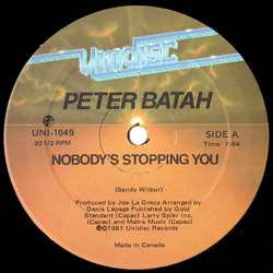 Peter Batah Nobody's Stopping You Vinyl 12" USED