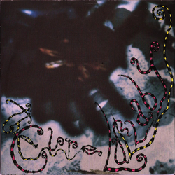 The Cure Lullaby Vinyl 7" USED