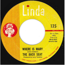 The Backseat Where Is Mary Vinyl 7" USED