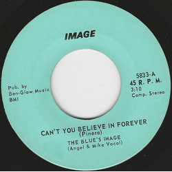 Blues Image Can't You Believe In Forever / Parchmant Farm Vinyl 7" USED