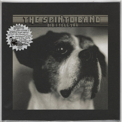 The Spinto Band Did I Tell You Vinyl 7" USED