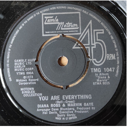 Diana Ross / Marvin Gaye / Tammi Terrell You Are Everything / The Onion Song Vinyl 7" USED