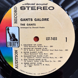 The Gants Gants Galore Vinyl LP USED