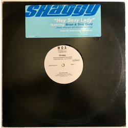 Shaggy / Brian & Tony Gold Hey Sexy Lady Vinyl 12" USED