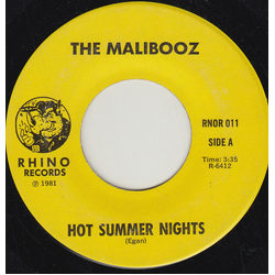 The Malibooz Hot Summer Nights Vinyl 7" USED