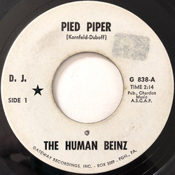 The Human Beinz Pied Piper Vinyl 7" USED