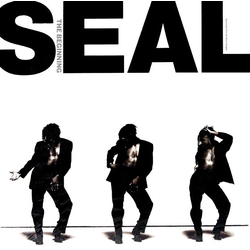 Seal The Beginning Vinyl 12" USED