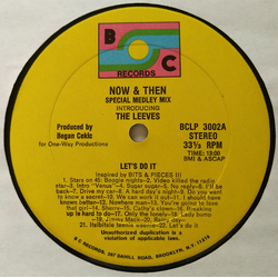 The Leeves Now & Then (Special Medley Mix) Vinyl LP USED
