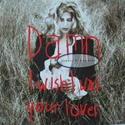 Sophie B. Hawkins Damn I Wish I Was Your Lover Vinyl 7" USED