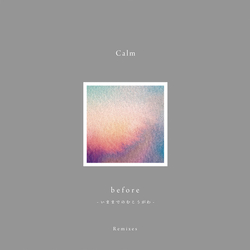 Calm Before - Remixes Vinyl 12" USED
