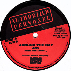 Authorized Personel Around The Bay / Do You Wanna Get Off Vinyl 12" USED