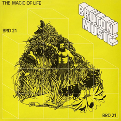 Duncan Lamont / Johnny Pearson The Magic Of Life Vinyl LP USED