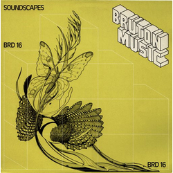 Paul Mitchell-Davidson Soundscapes Vinyl LP USED