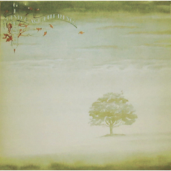 Genesis Wind & Wuthering Vinyl LP USED