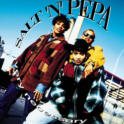 Salt 'N' Pepa Very Necessary Vinyl LP USED