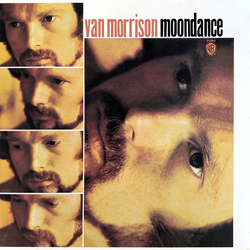 Van Morrison Moondance Vinyl LP USED