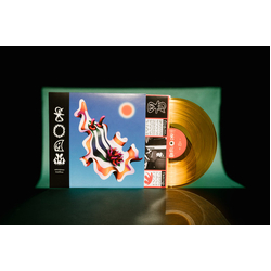 Divino Niño Foam Vinyl LP USED