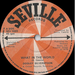 Dooley Silverspoon What In The World Vinyl 7" USED